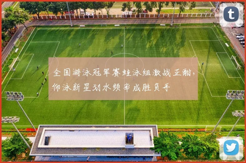 全国游泳冠军赛蛙泳组激战正酣,仰泳新星划水频率成胜负手