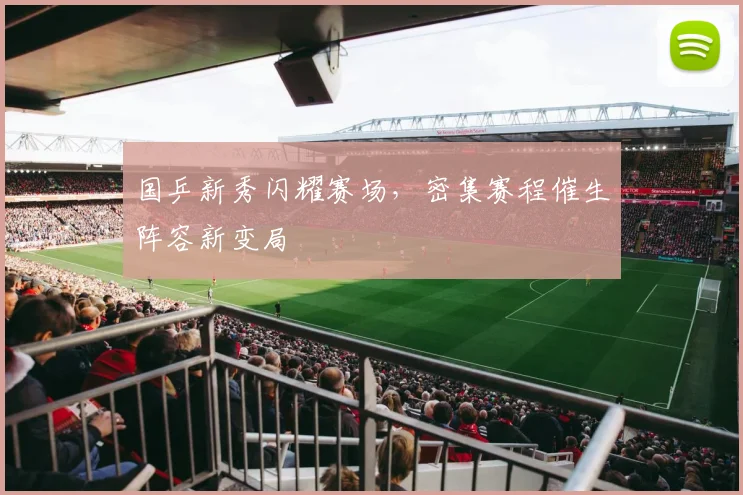 国乒新秀闪耀赛场，密集赛程催生阵容新变局 - 虎扑体育