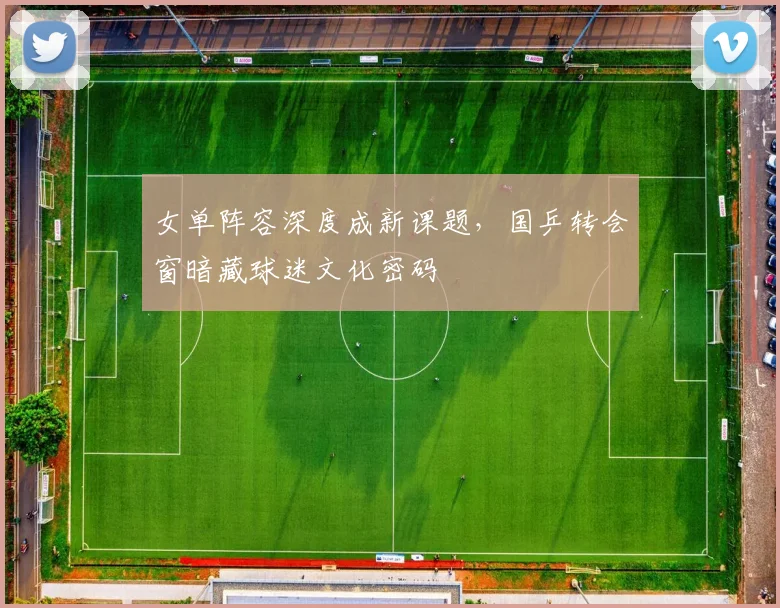 女单阵容深度成新课题，国乒转会窗暗藏球迷文化密码