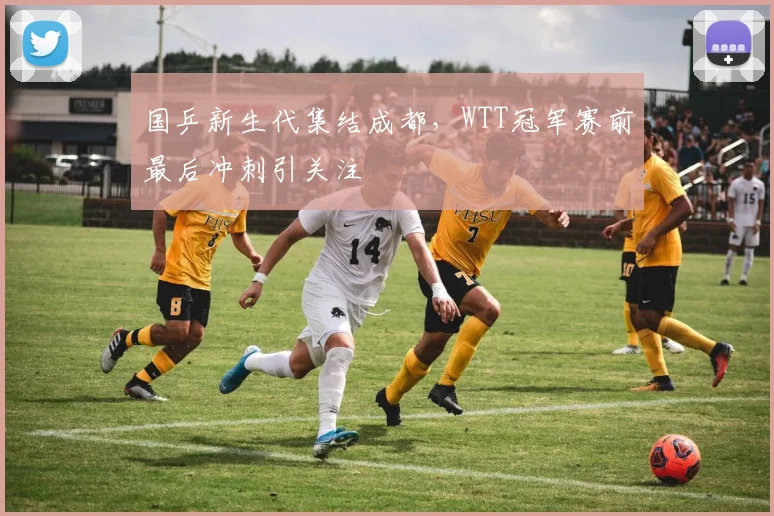 国乒新生代集结成都,WTT冠军赛前最后冲刺引关注