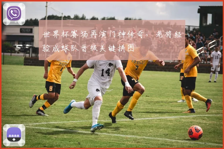 世界杯赛场再演门神传奇,老将经验成球队晋级关键拼图
