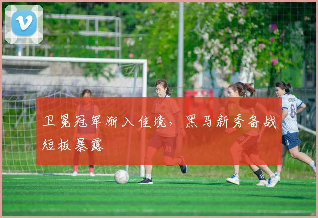 卫冕冠军渐入佳境，黑马新秀备战短板暴露 - 虎扑体育