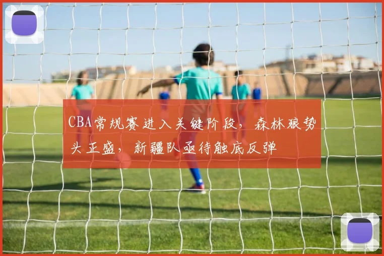 CBA常规赛进入关键阶段，森林狼势头正盛，新疆队亟待触底反弹